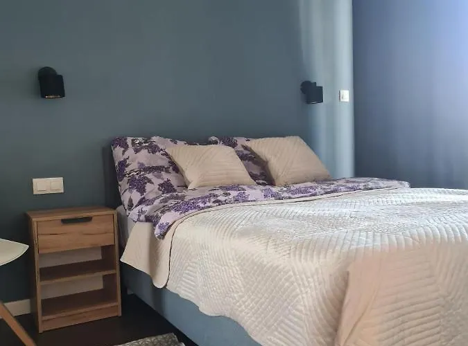 Venice Apartment, Self Check-in 24h, Free Parking Poznaň